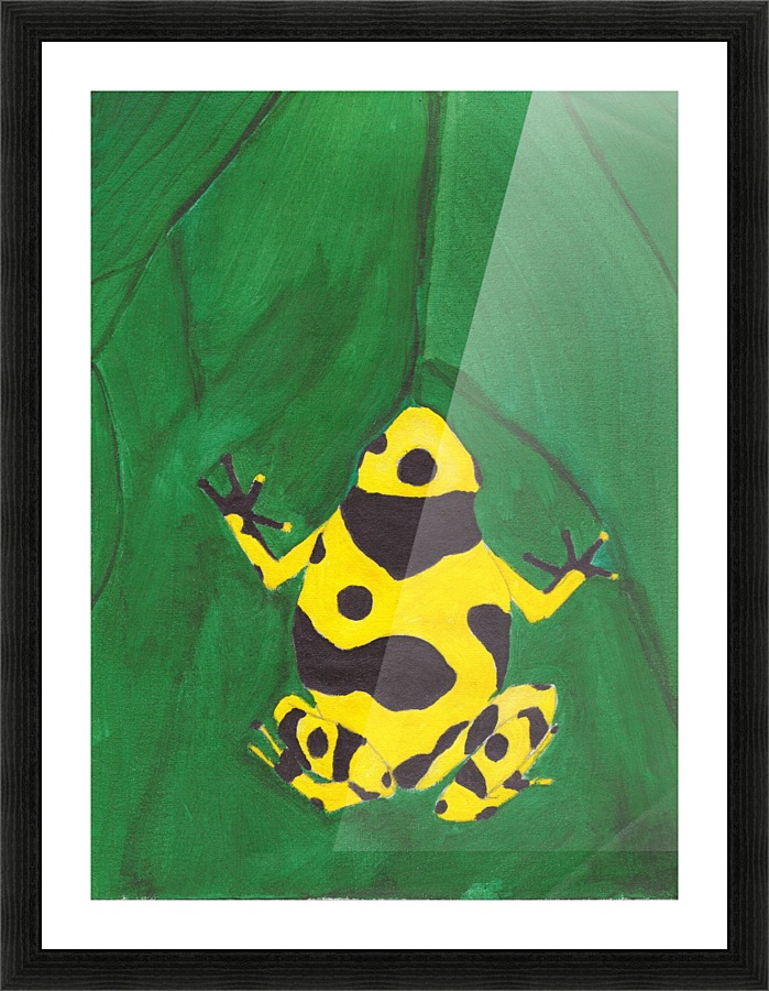 Dart Frog Picture Frame print