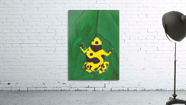 Dart Frog Wall Preview