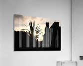 Evening Sun Acrylic Print