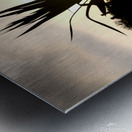 Evening Sun Metal print