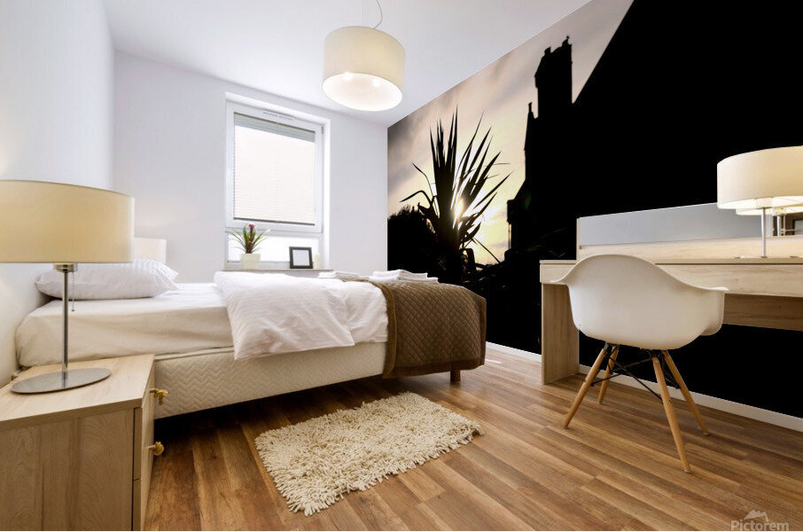 Evening Sun Mural print