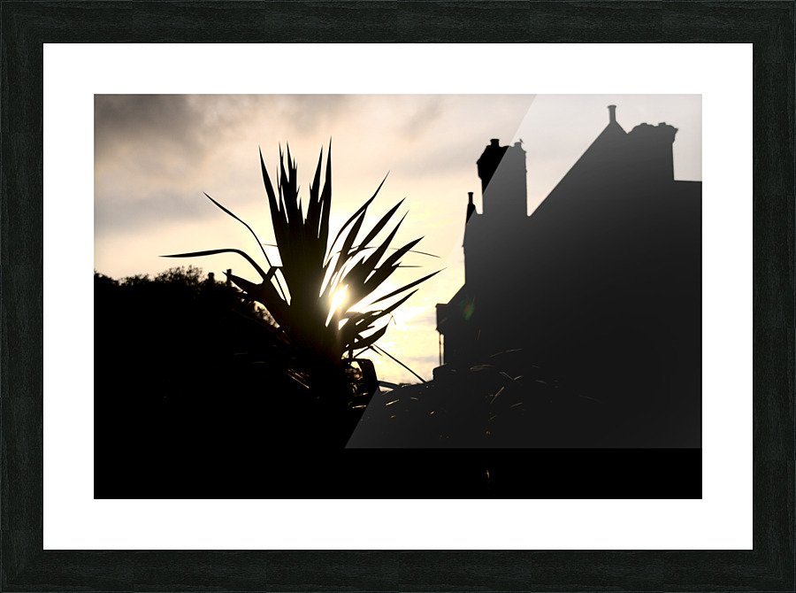 Evening Sun Picture Frame print