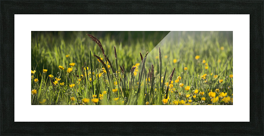 Spring in Bloom Picture Frame print