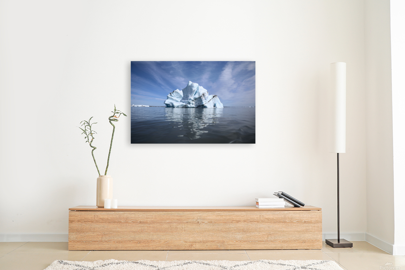 Iceberg Reproduction