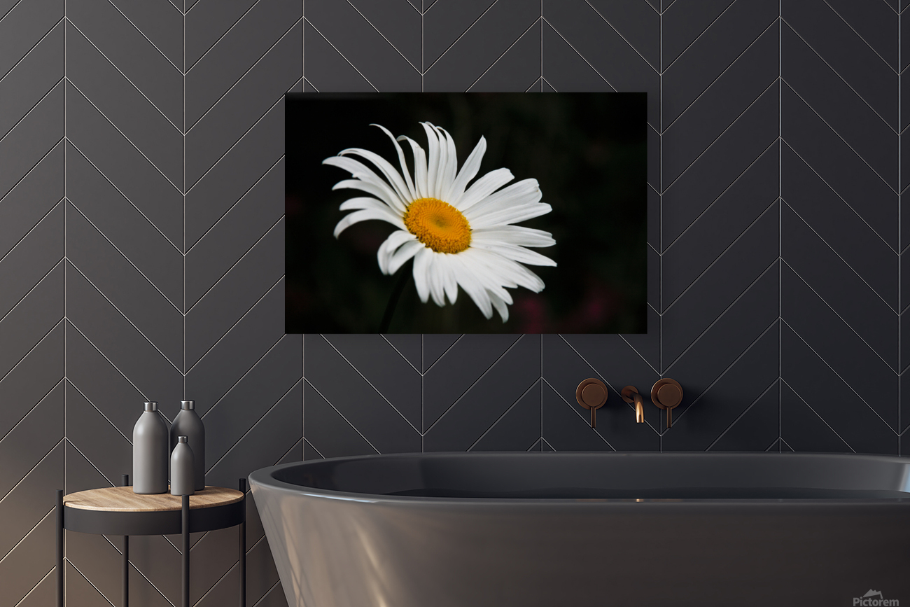 A Flower Reproduction