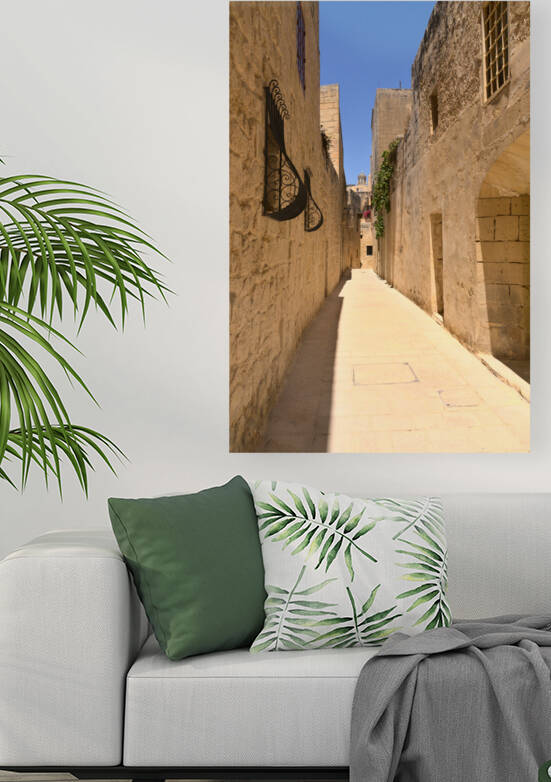 Slient City Malta Reproduction