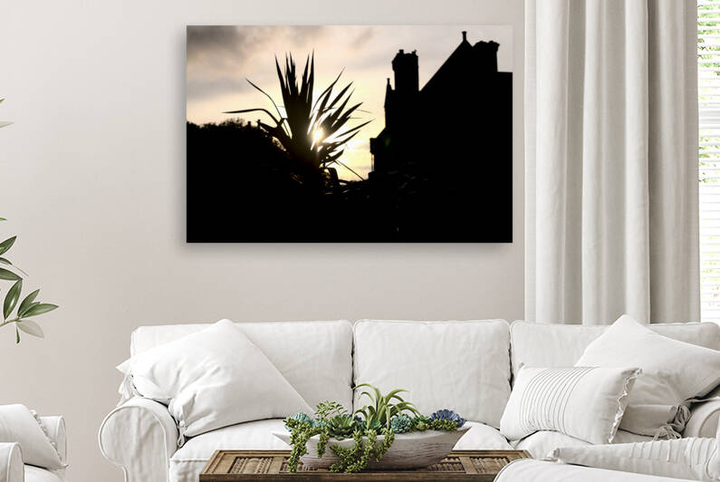 Evening Sun Reproduction