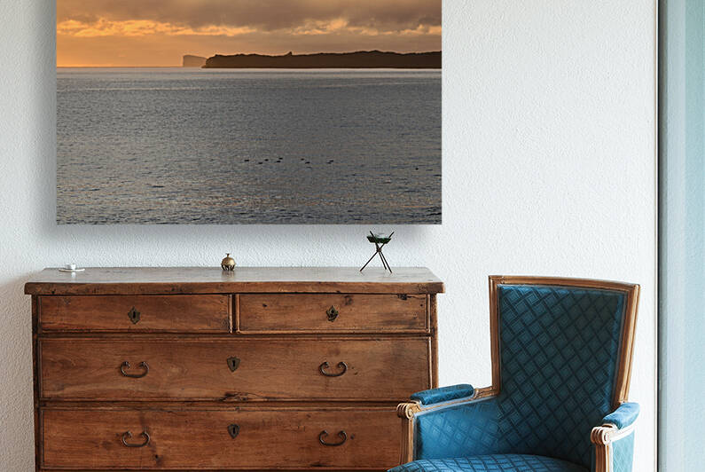 Calm Seas Reproduction