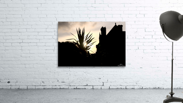 Evening Sun Wall Preview