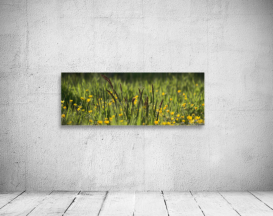 Spring in Bloom Wall Preview