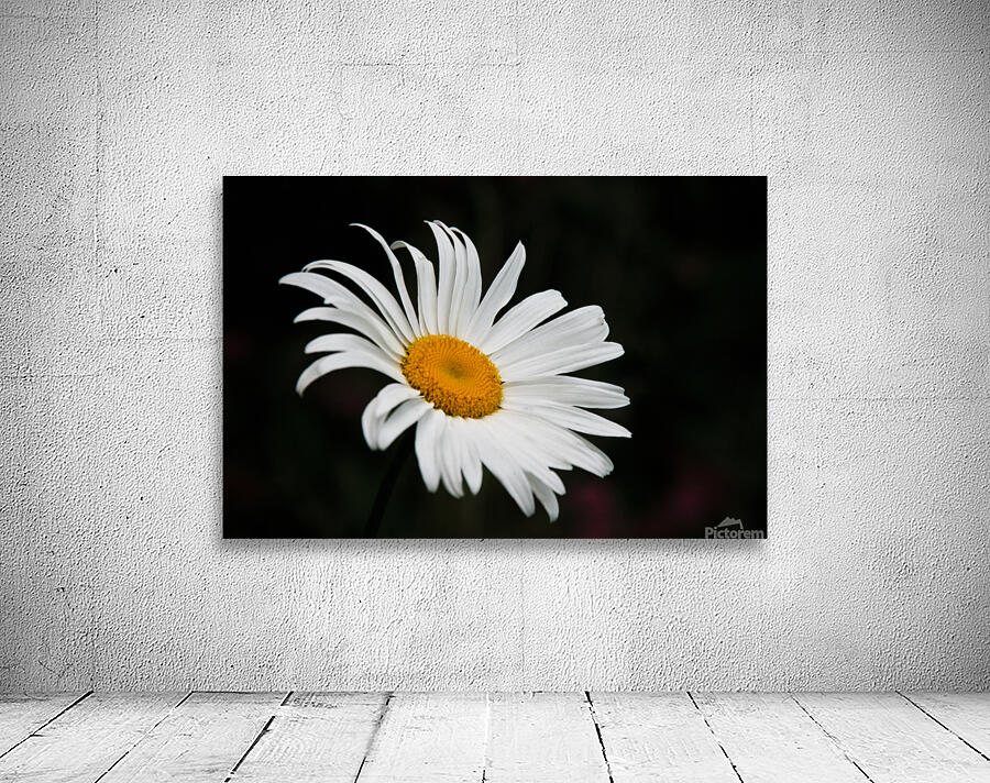 A Flower Wall Preview