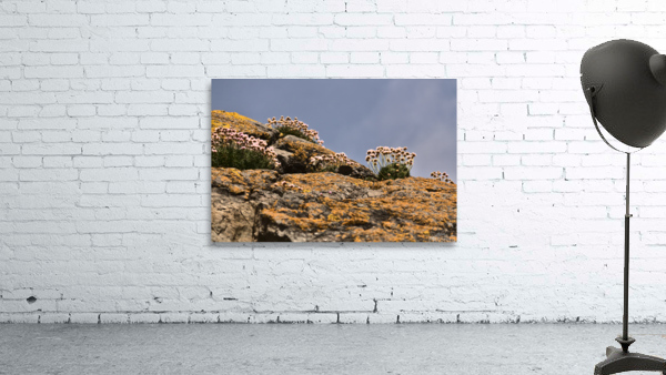 Rock Flowers Wall Preview