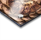 Cone Crown Acrylic print