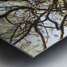 Gnarly Tree Metal print