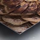 Cone Crown Metal print