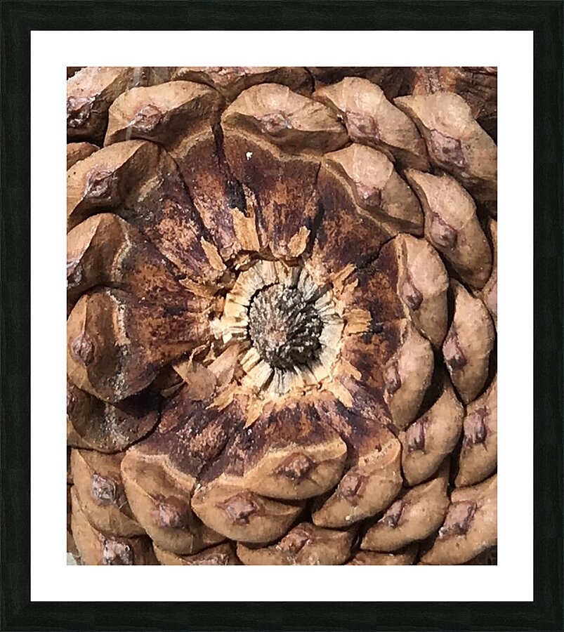 Cone Crown Picture Frame print