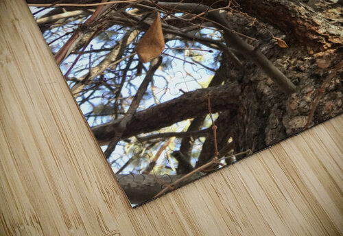 Gnarly Tree Eyespy puzzle