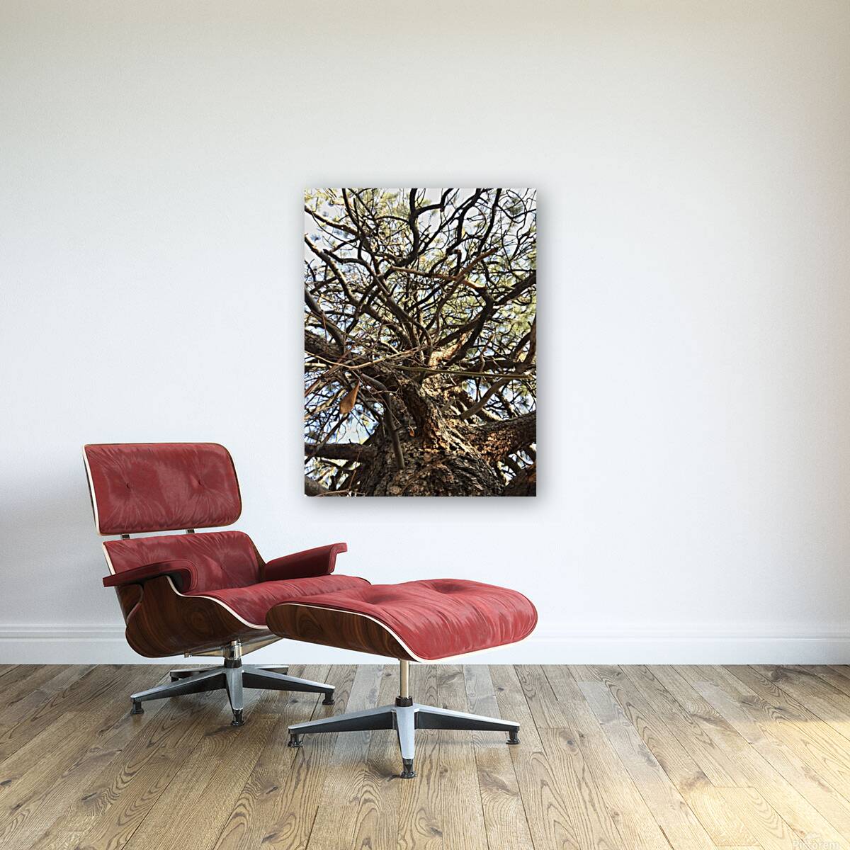 Gnarly Tree Reproduction