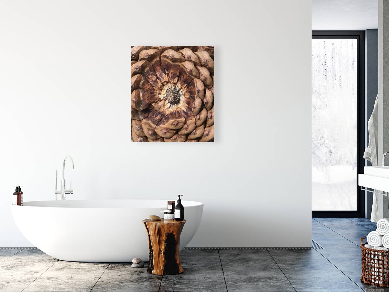 Cone Crown Reproduction