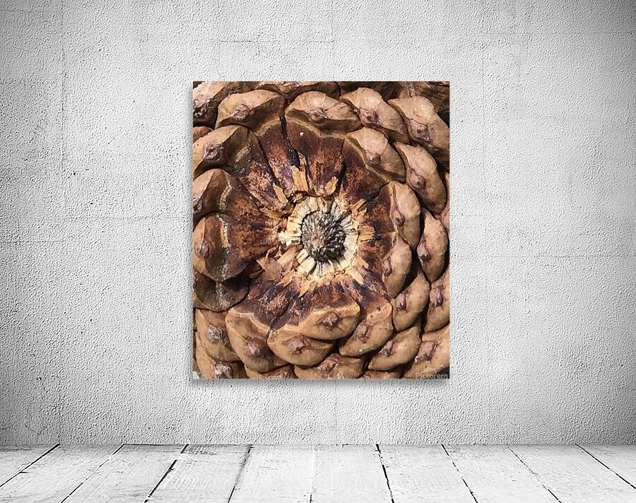 Cone Crown Wall Preview