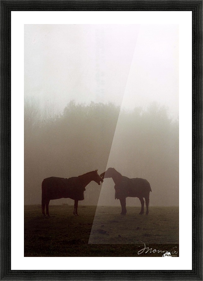 Fog Talkin Picture Frame print