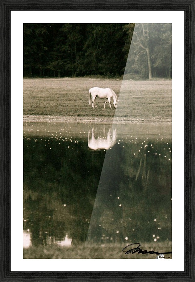 Peaceful Dinner Picture Frame print