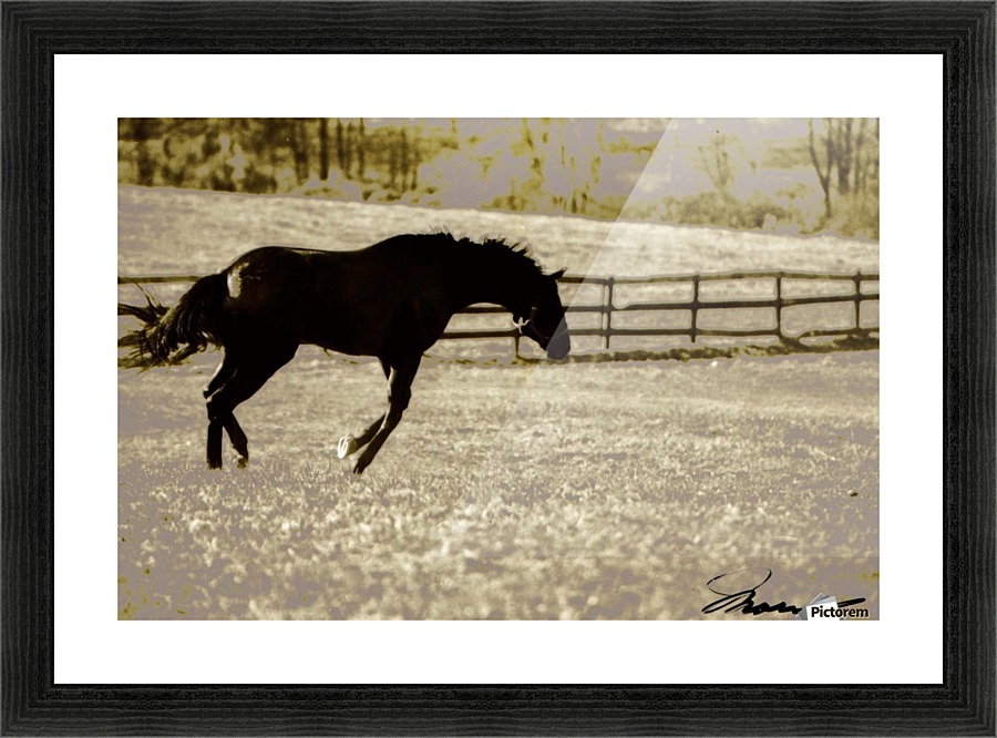 Jumping for Joy Picture Frame print