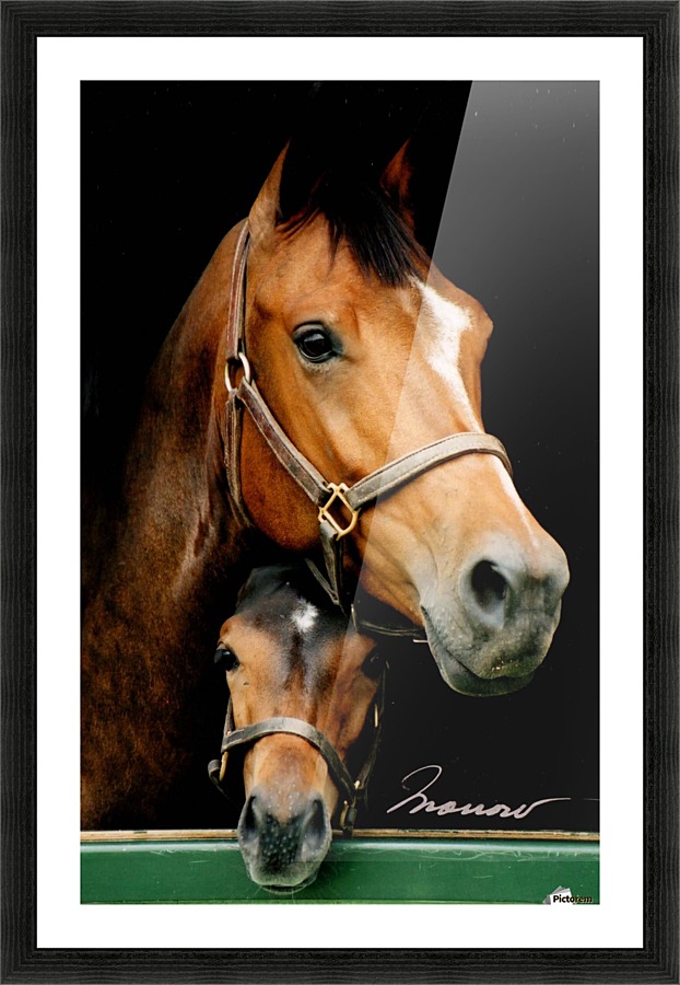 Ritamorka and Marcus Picture Frame print