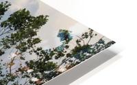 Clouds in Philomont, Va. HD Metal print