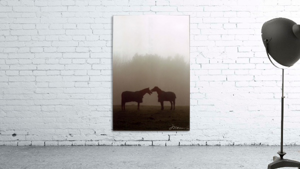 Fog Talkin Wall Preview