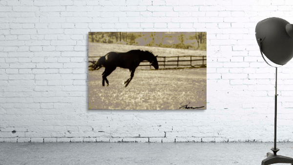 Jumping for Joy Wall Preview