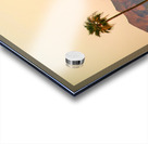 Arizona Acrylic print