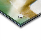 DJI 20240202071605 0192 D Acrylic print