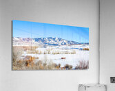 Steamboat Springs 2 Acrylic Print