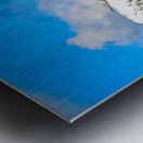 Big Sky Cottages Metal print