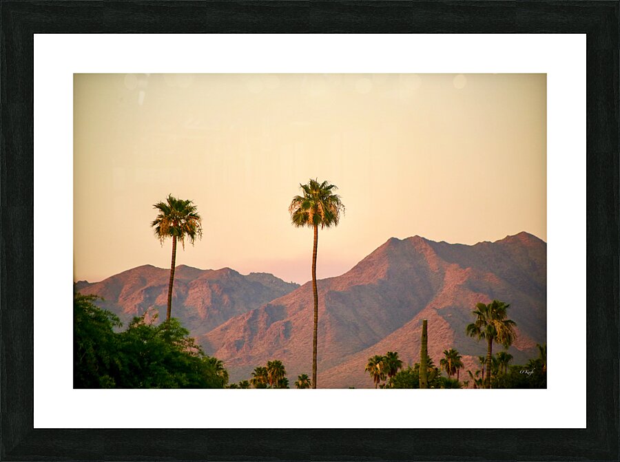Arizona Picture Frame print