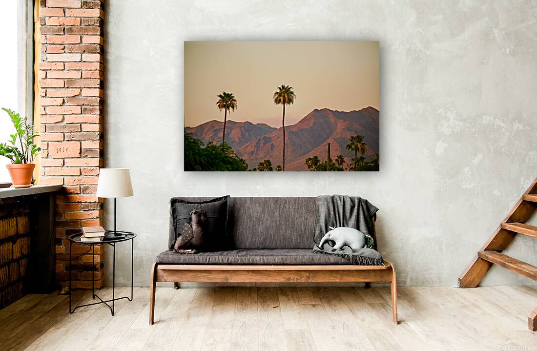 Arizona Reproduction