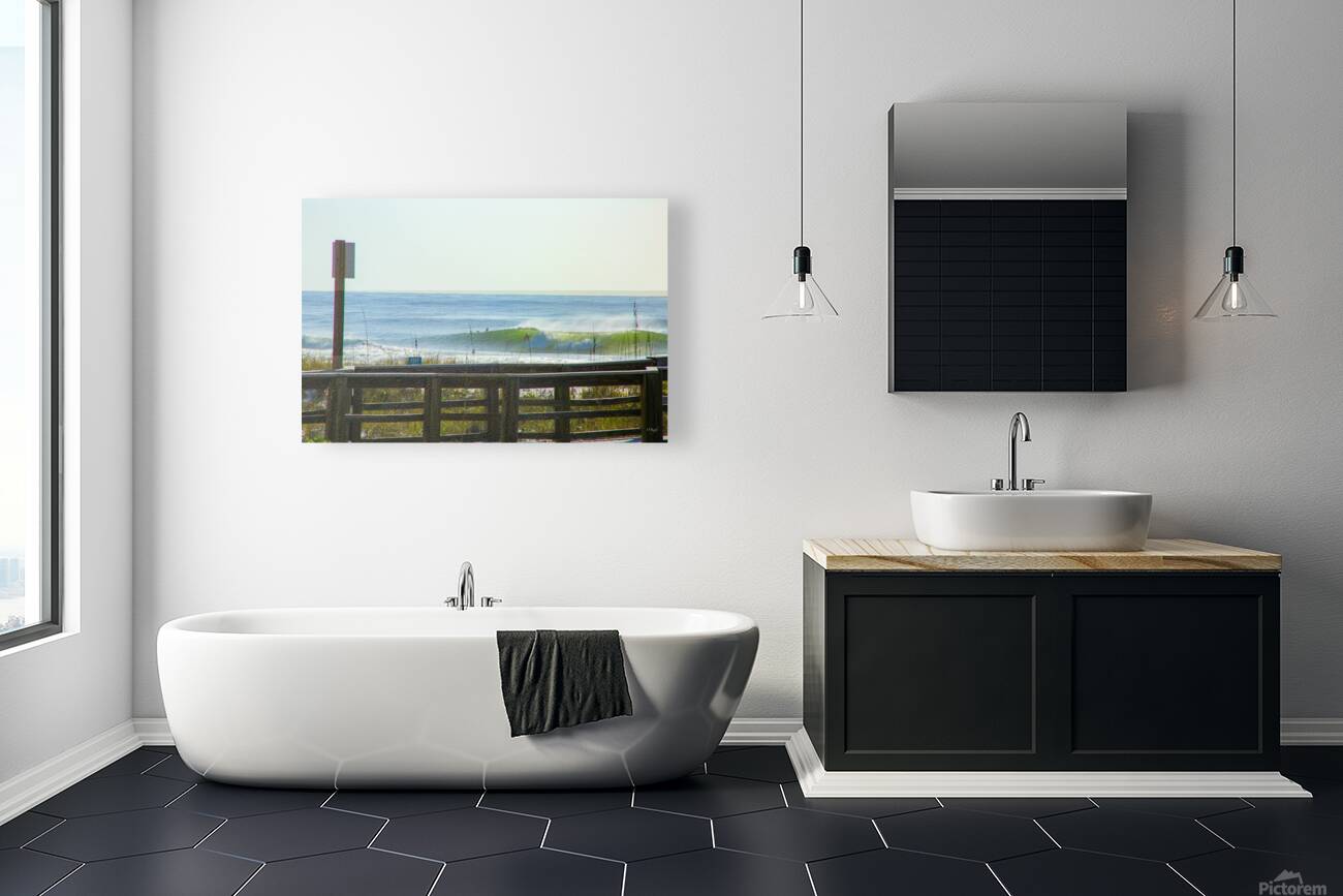 DELSOLLL Reproduction