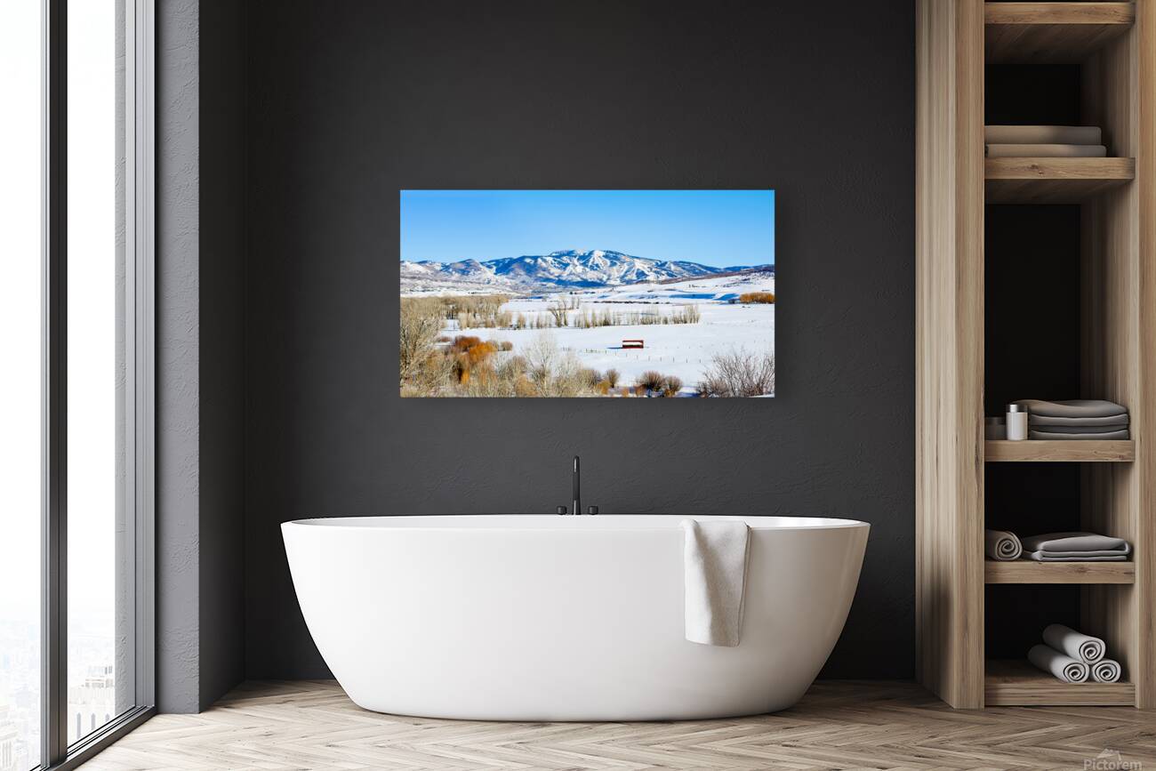 Steamboat Springs 2 Reproduction