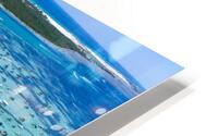 crab island 4 HD Metal print
