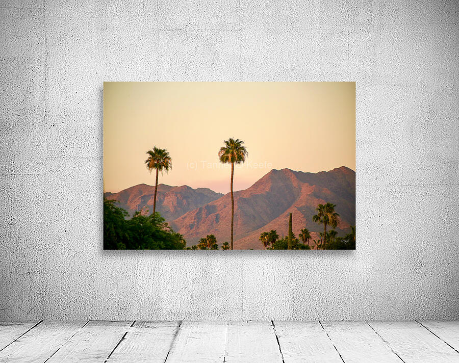 Arizona Wall Preview