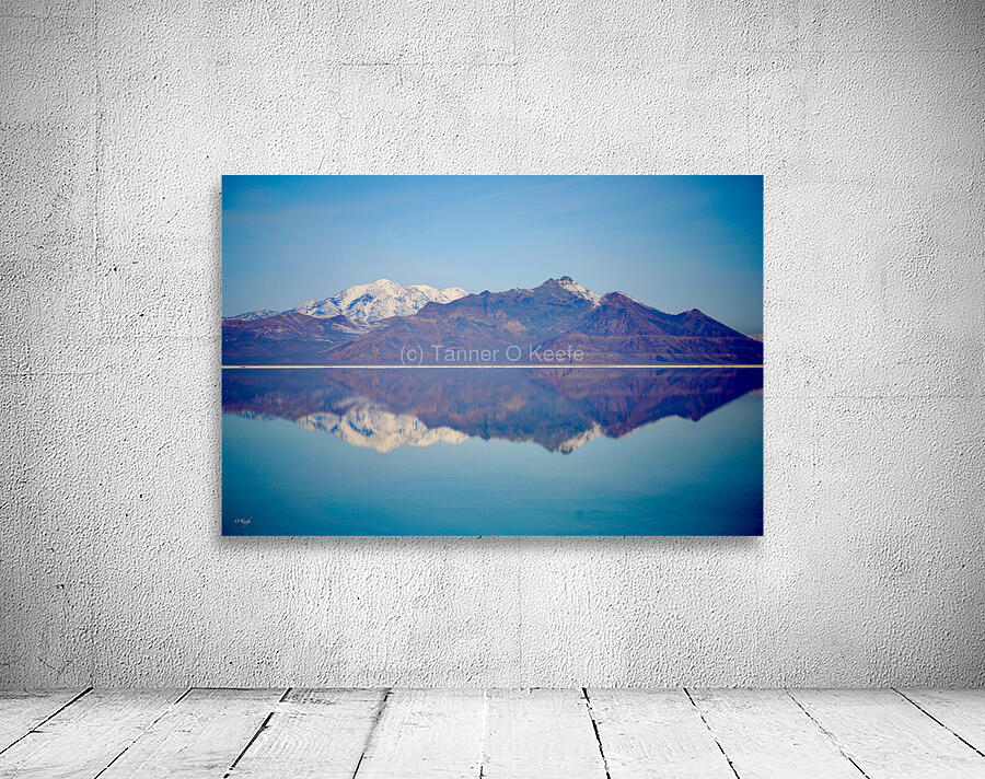 Salt Flats Wall Preview