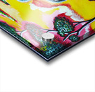 The Lion King Acrylic print