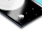 Moon Shadow Acrylic print