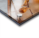 Chickadee in River Birch Acrylic print