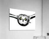 Short eared Owl as Silhouette Acrylic Print