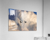 Sandhill Cranes in Cumulus Clouds Acrylic Print