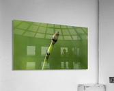 equisetum horsetail Acrylic Print