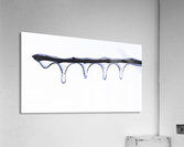 Twig on Ice Acrylic Print