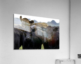 Beef Impression acrylique